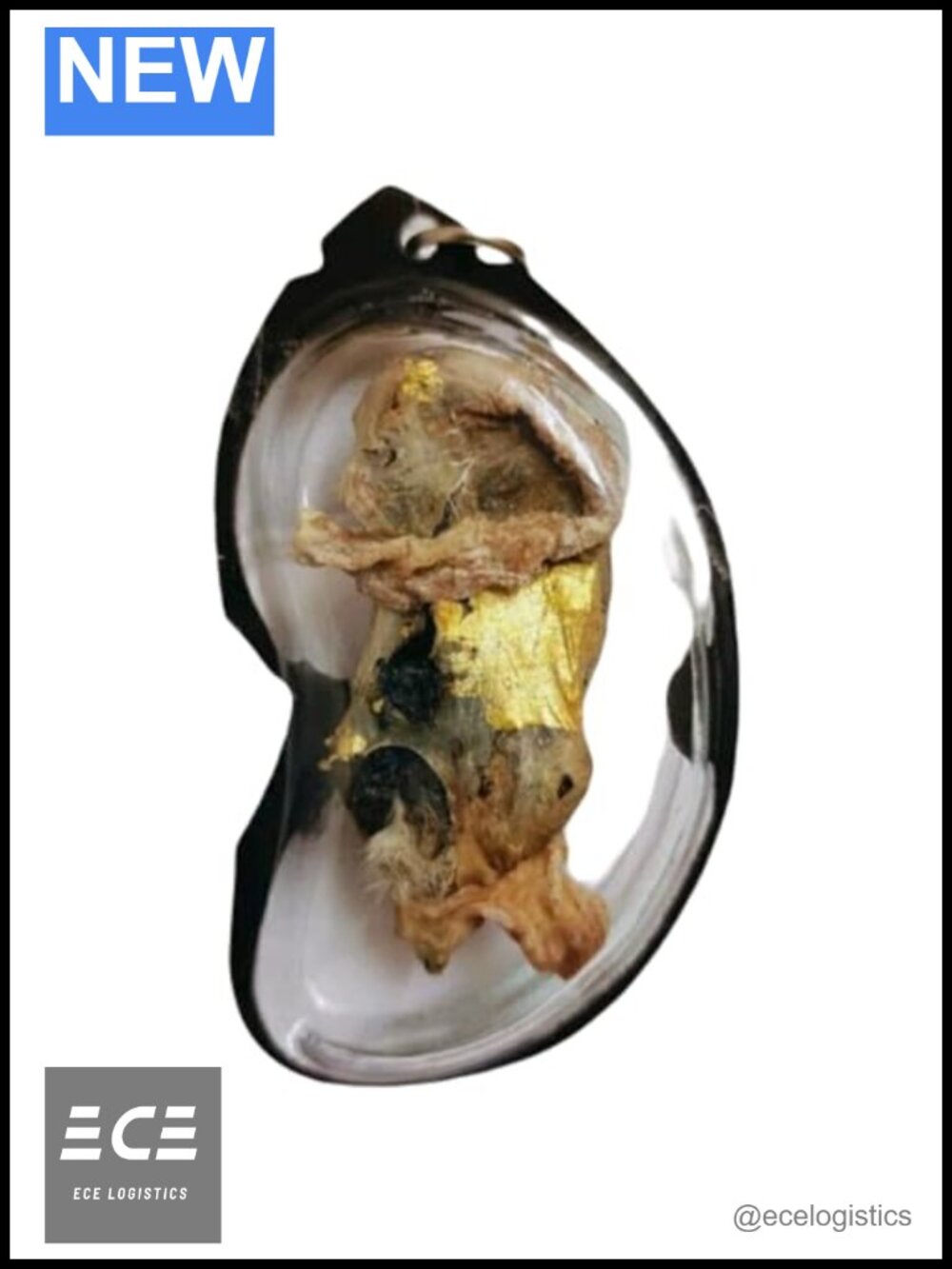 Lukkrok Cat Placenta Amulet Pendant with Waterproof Case